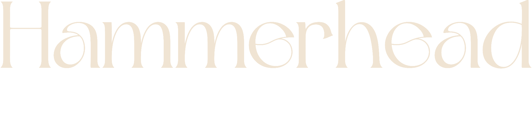 Hammerhead Event Production